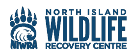 North Island Recovery Association